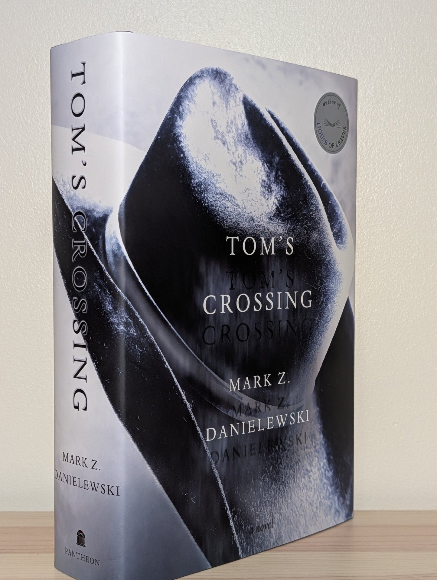 Tom's Crossing by Mark Z. Danielewski (First Edition) - Fialta Books