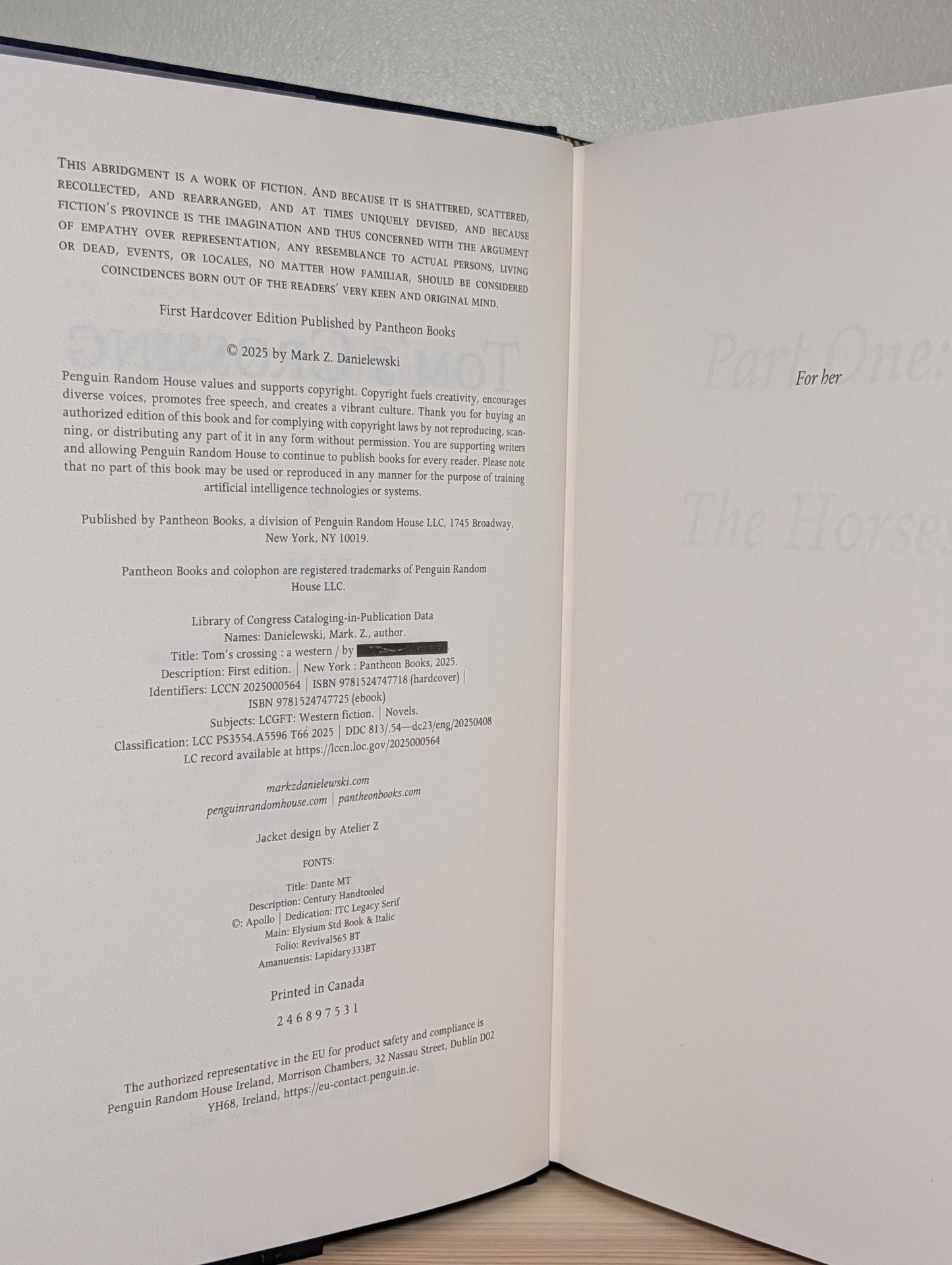Tom's Crossing by Mark Z. Danielewski (Signed First Edition) - Fialta Books