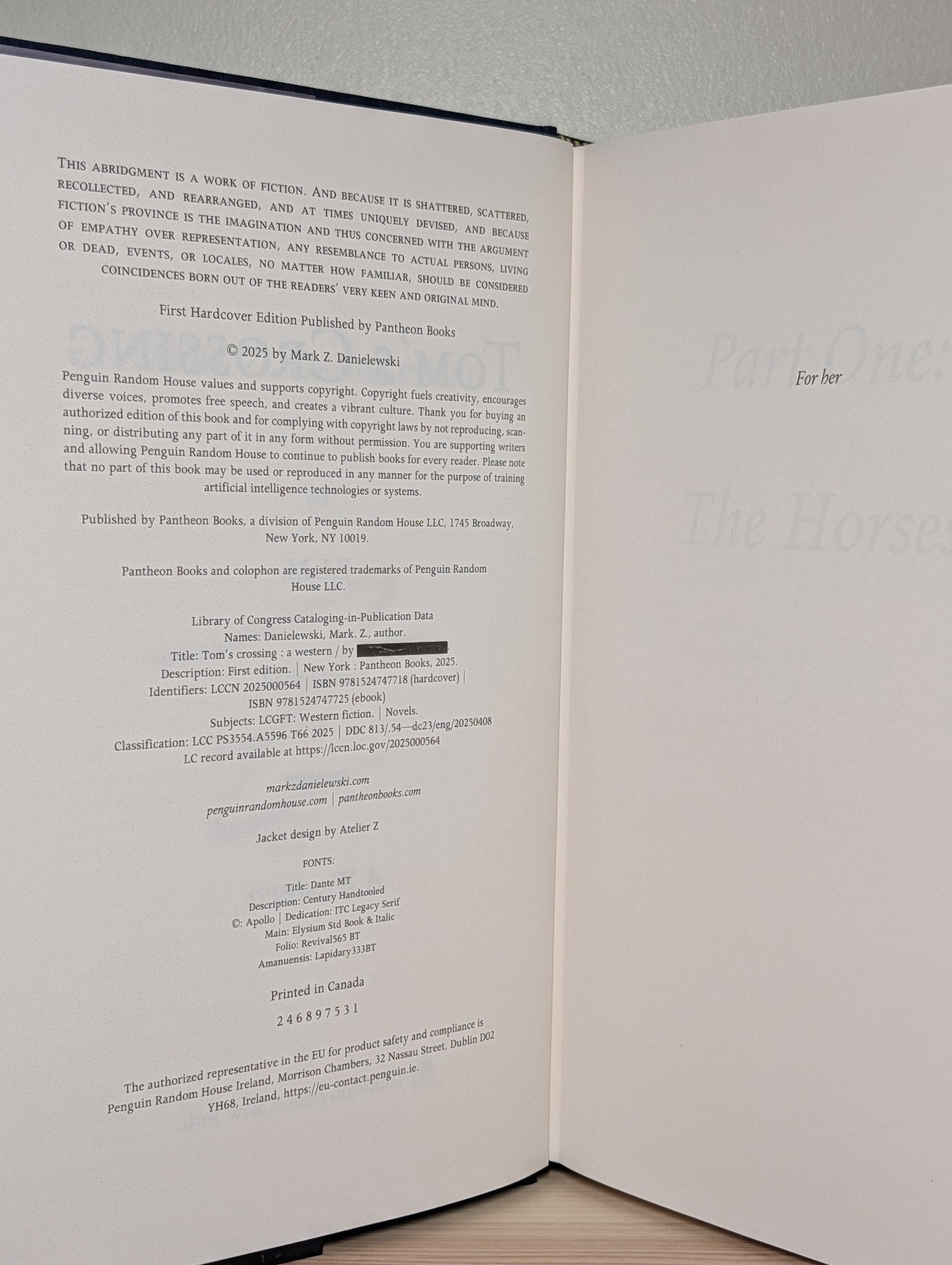 Tom's Crossing by Mark Z. Danielewski (Signed First Edition) - Fialta Books