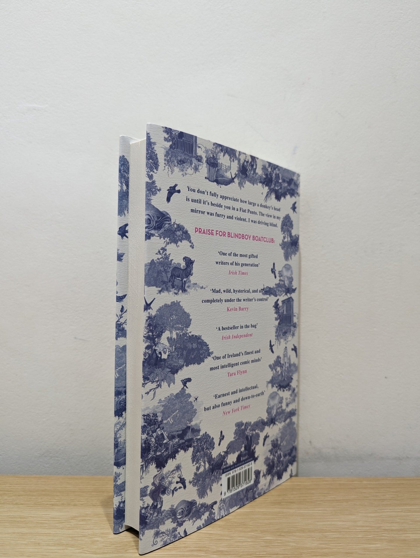 Topographia Hibernica by Blindboyboatclub (Signed First Edition) - Fialta Books