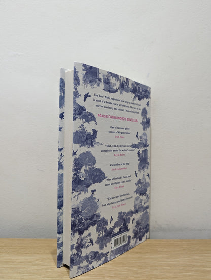 Topographia Hibernica by Blindboyboatclub (Signed First Edition) - Fialta Books