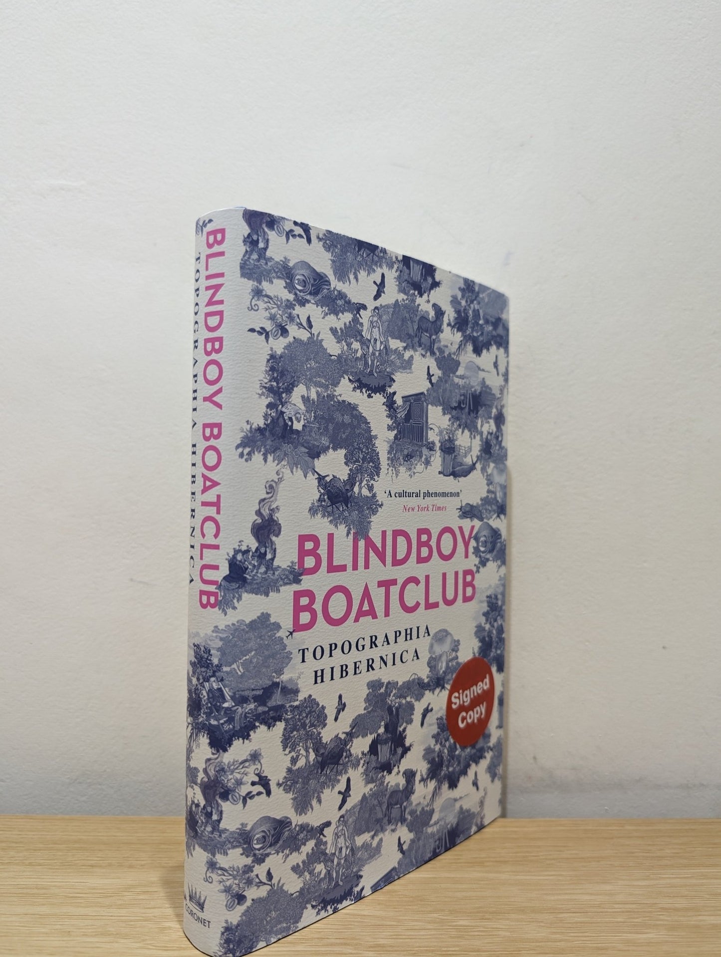 Topographia Hibernica by Blindboyboatclub (Signed First Edition) - Fialta Books