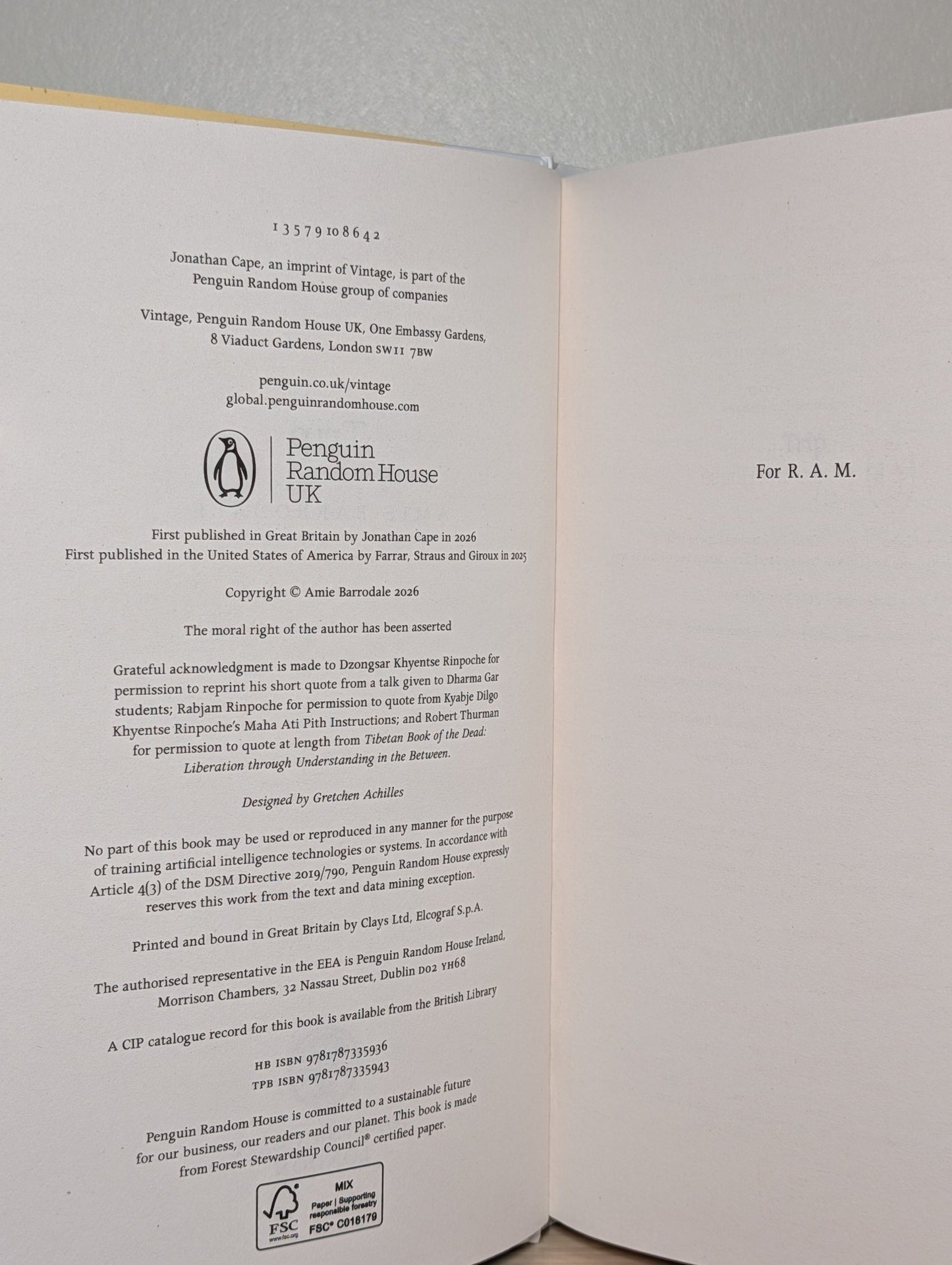 Trip by Amie Barrodale (First Edition) - Fialta Books