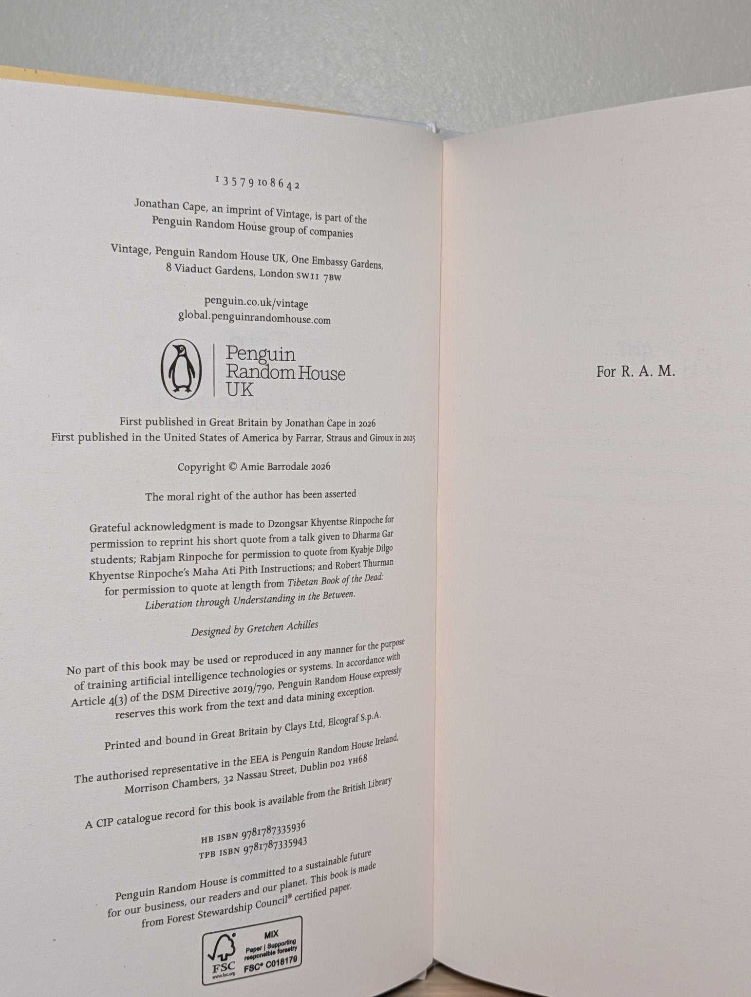 Trip by Amie Barrodale (First Edition) - Fialta Books