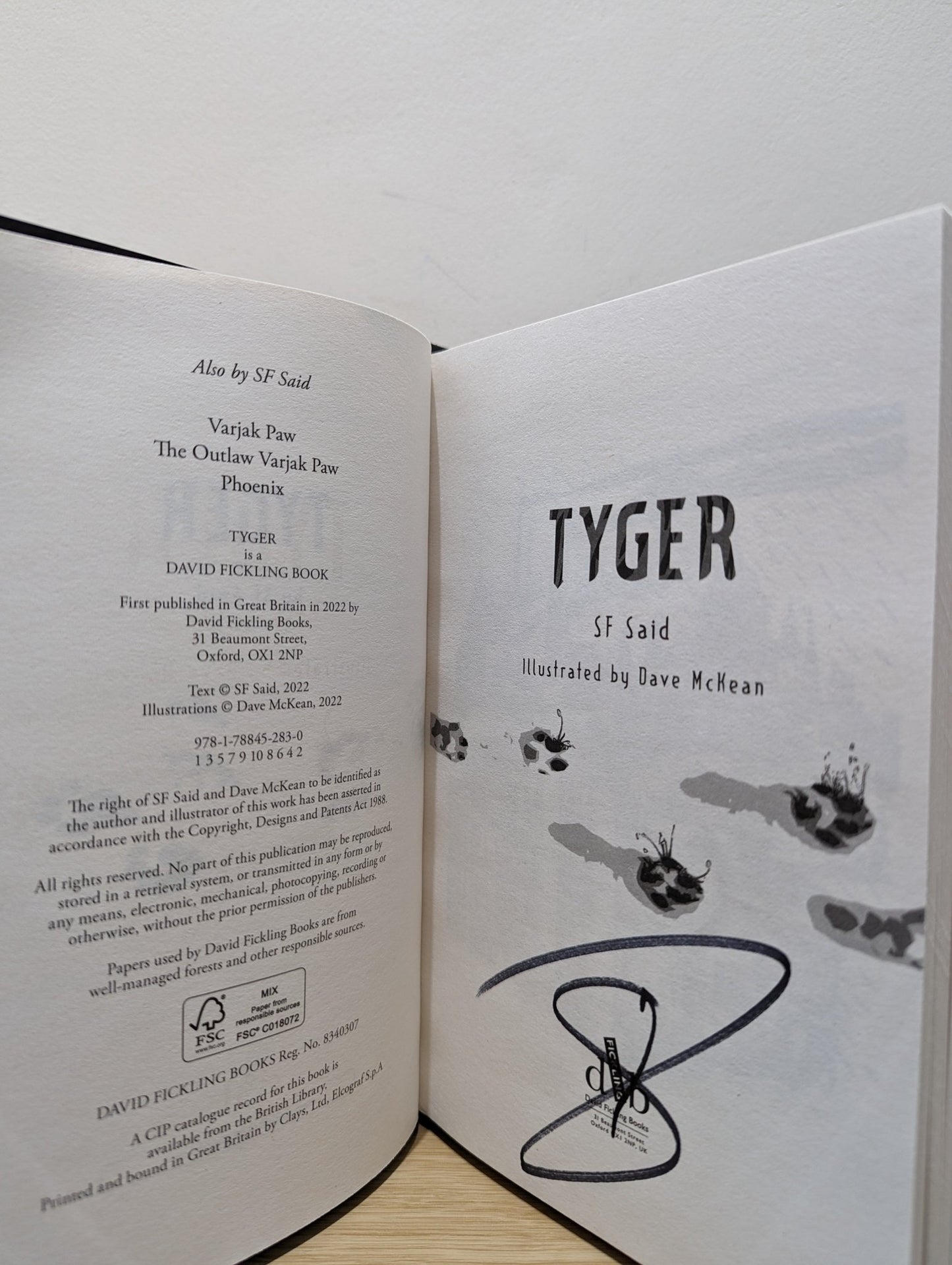 Tyger by SF Said (Signed First Edition) - Fialta Books