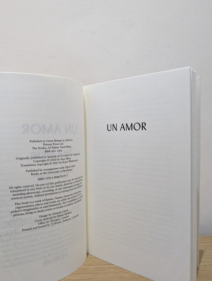 Un Amor by Sara Mesa (Signed First Edition) - Fialta Books