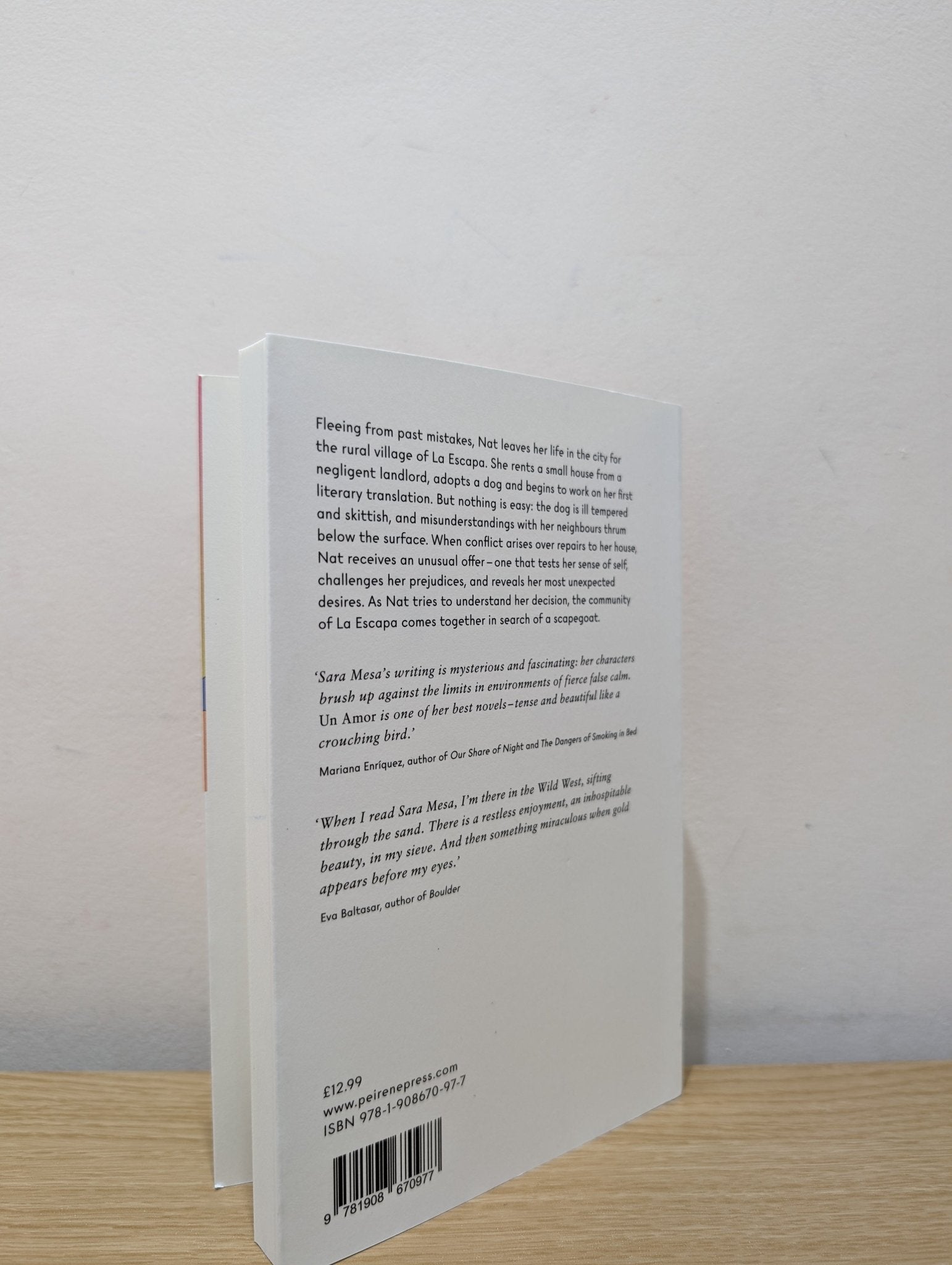 Un Amor by Sara Mesa (Signed First Edition) - Fialta Books