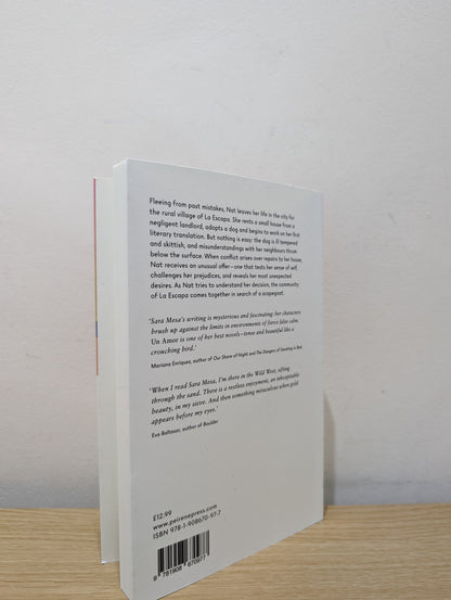 Un Amor by Sara Mesa (Signed First Edition) - Fialta Books