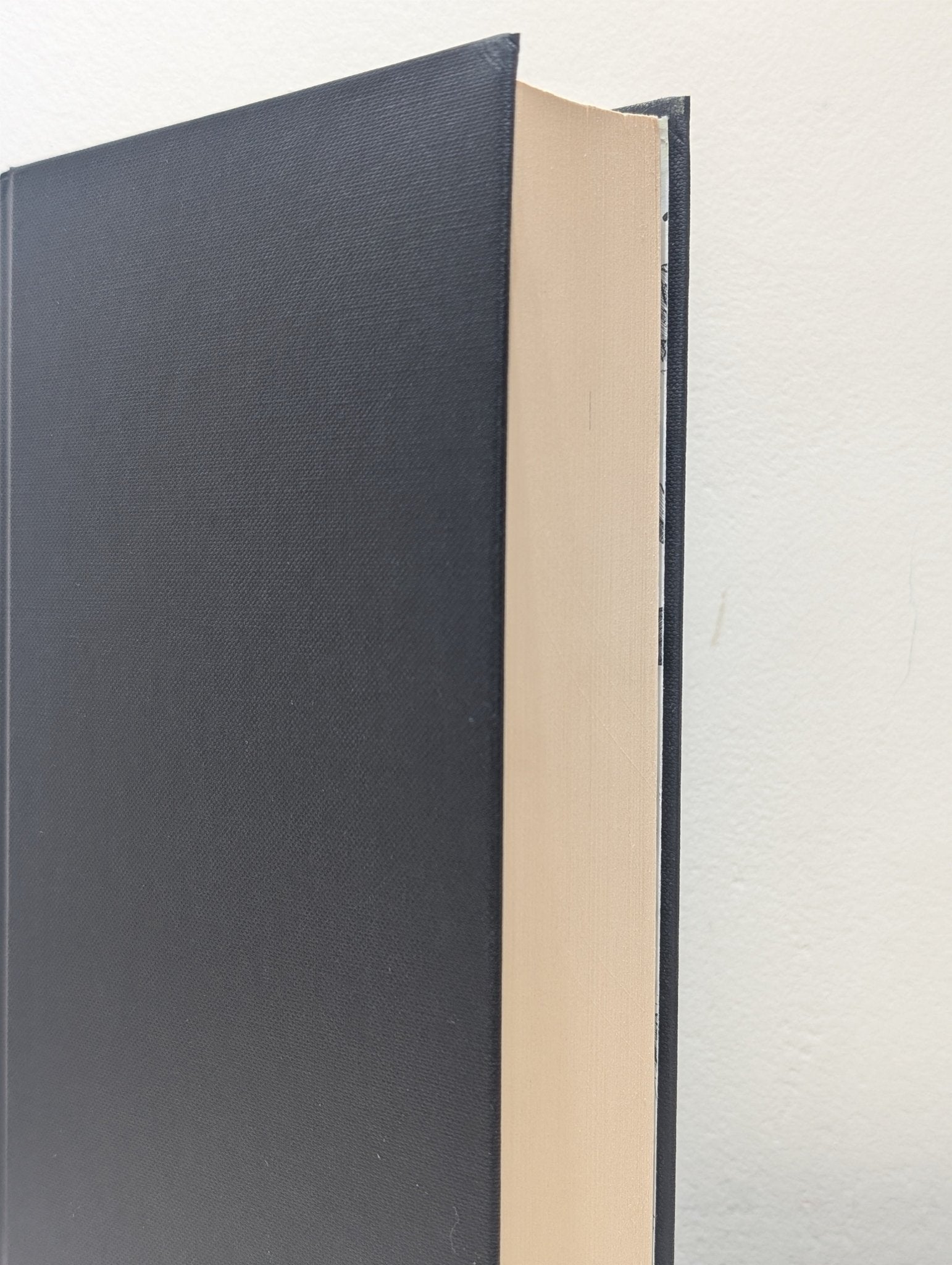 Un Lun Dun by China Mieville (Signed) - Fialta Books