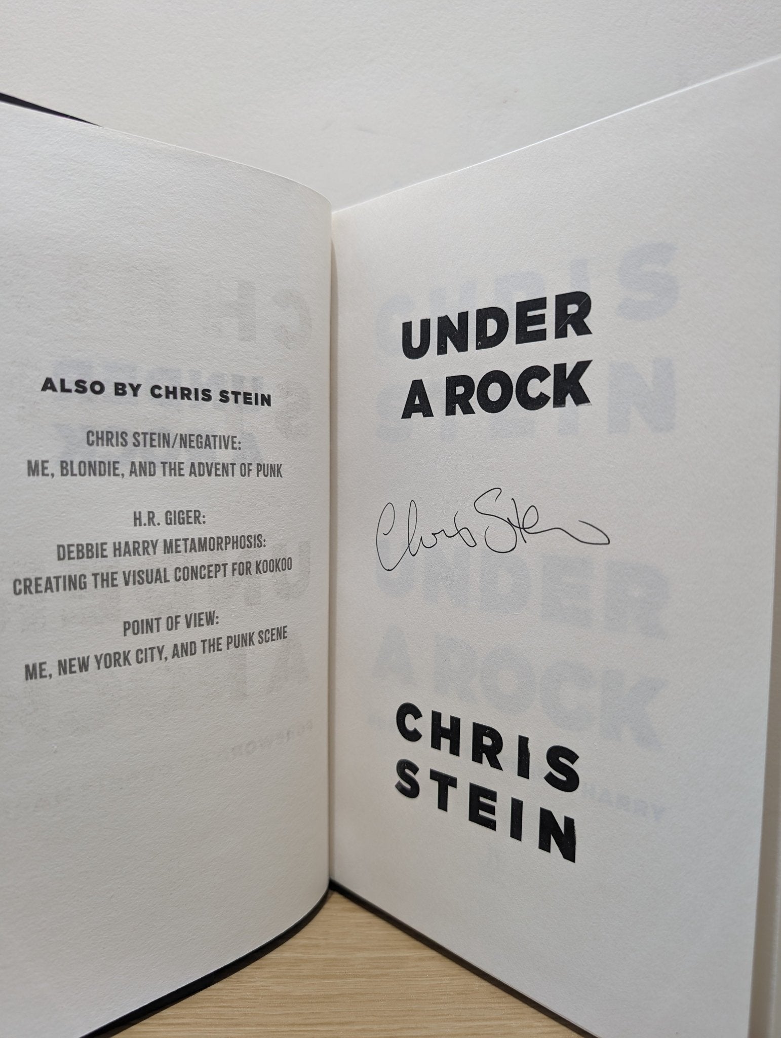 Under A Rock by Chris Stein (Signed First Edition) - Fialta Books