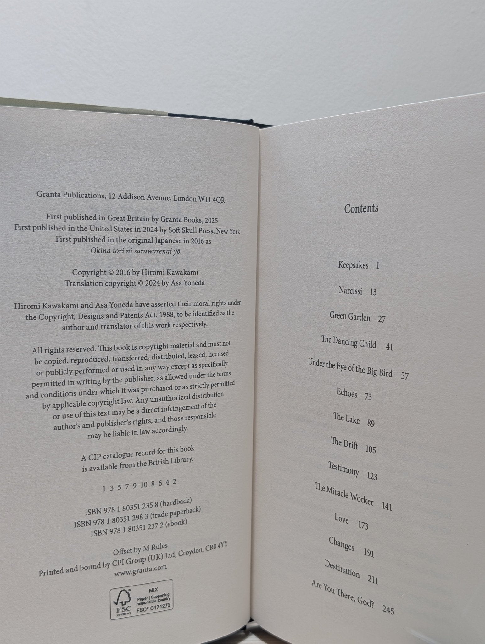 Under the Eye of the Big Bird by Hiromi Kawakami (First Edition) - Fialta Books