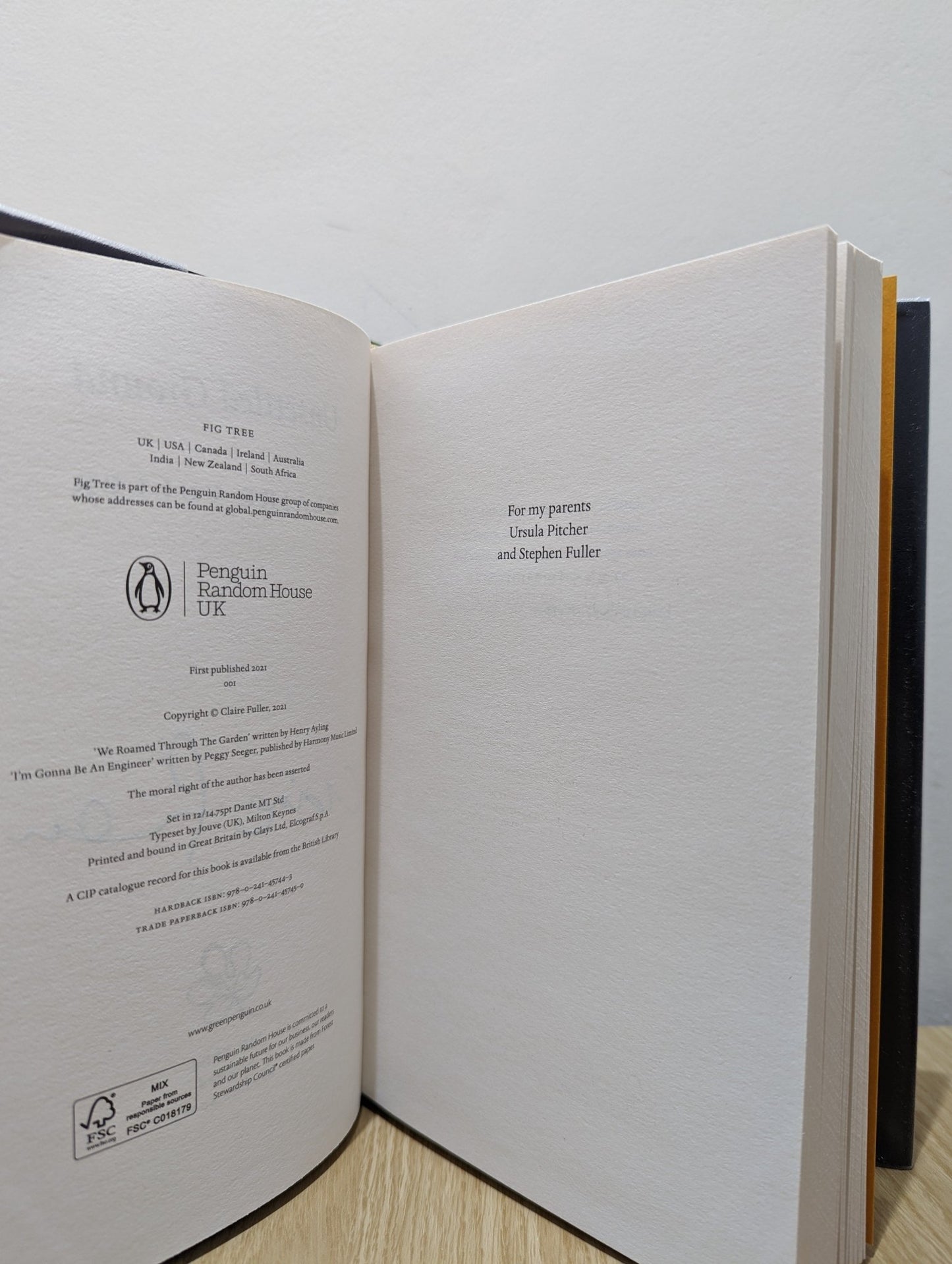 Unsettled Ground by Claire Fuller (Signed First Edition) - Fialta Books