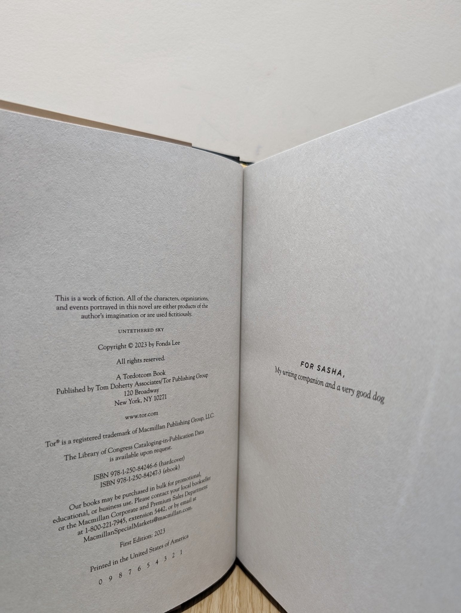 Untethered Sky by Fonda Lee (First Edition) - Fialta Books