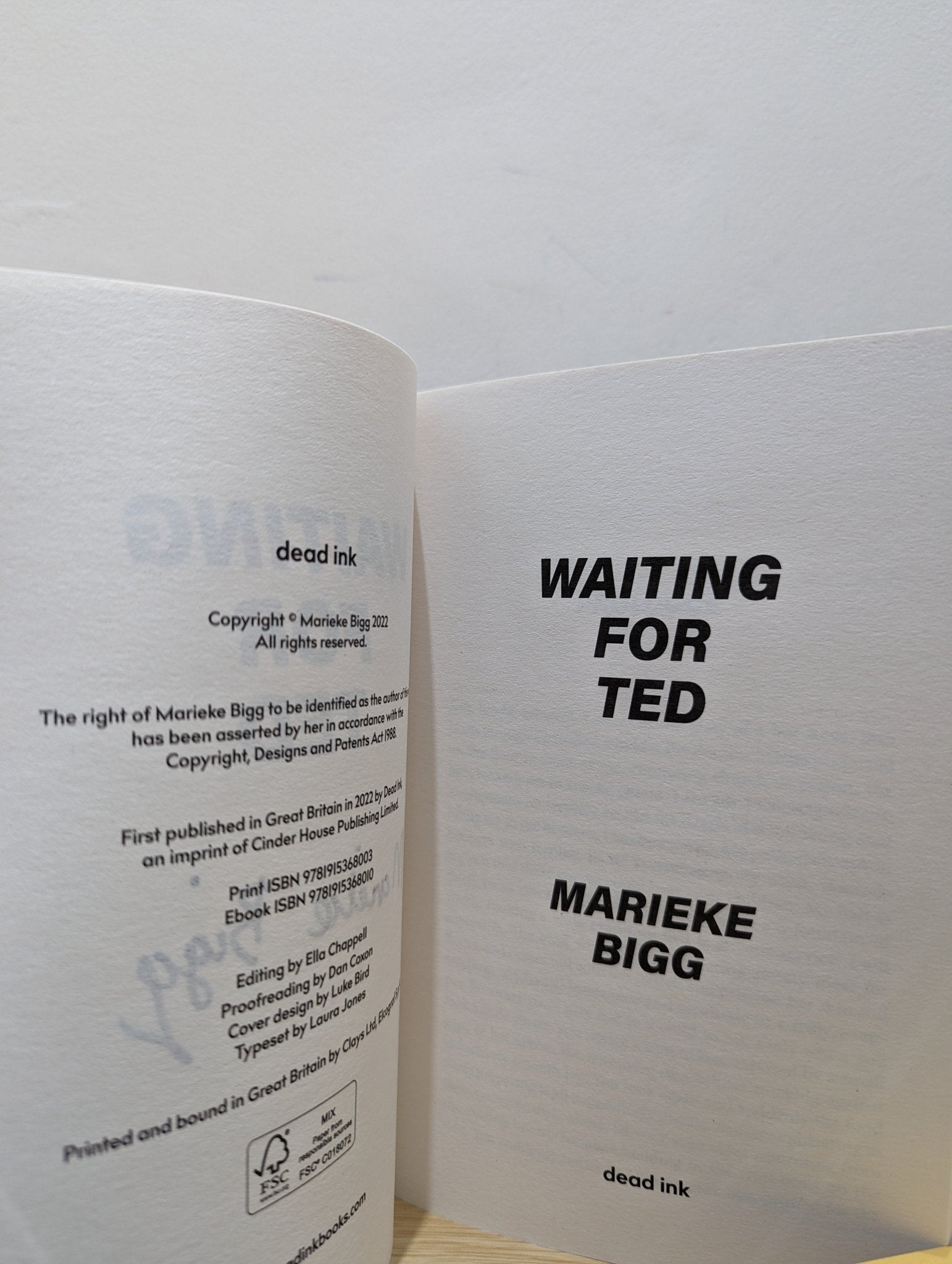 Waiting for Ted by Marieke Bigg (Signed First Edition) - Fialta Books