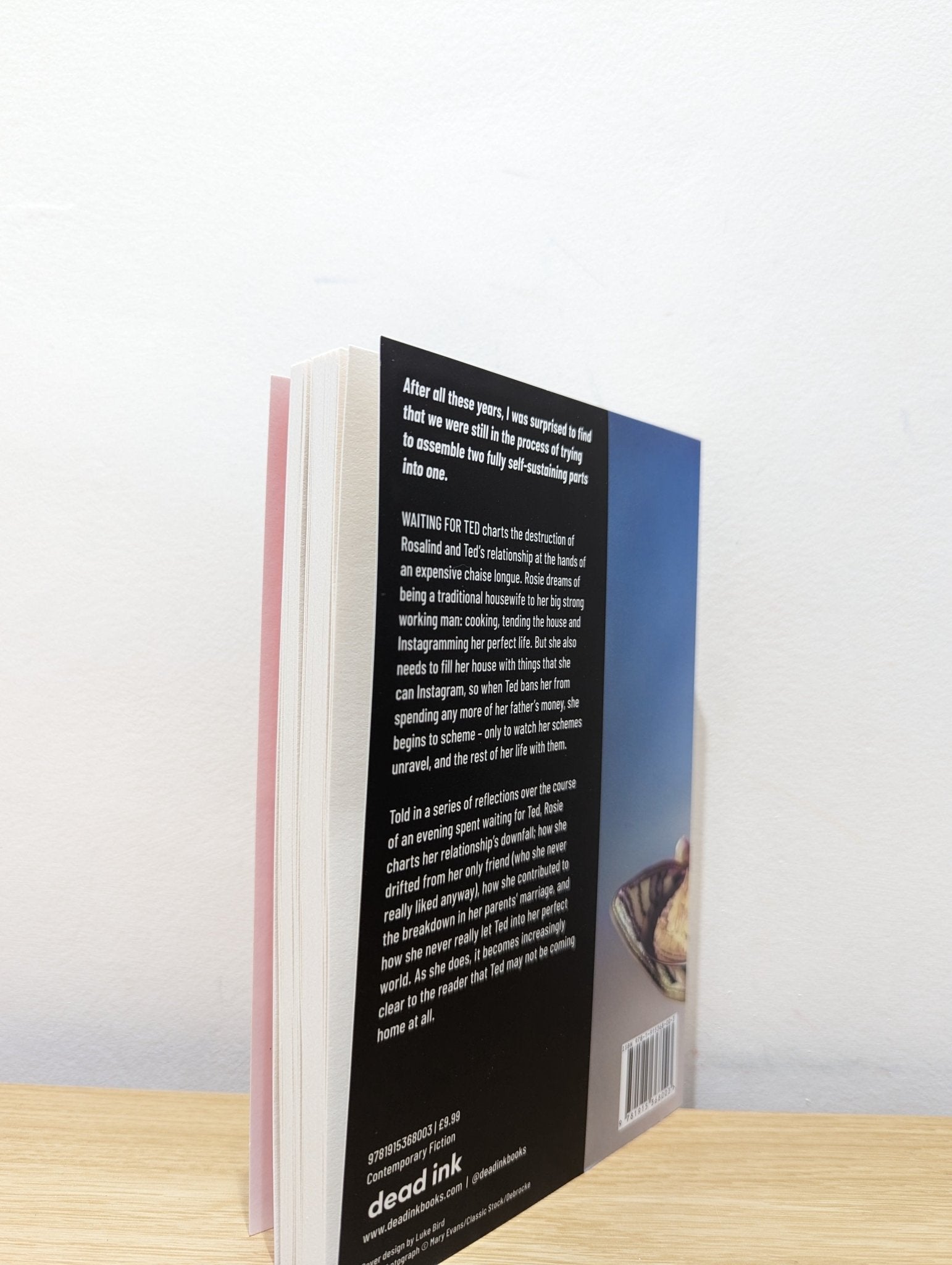 Waiting for Ted by Marieke Bigg (Signed First Edition) - Fialta Books