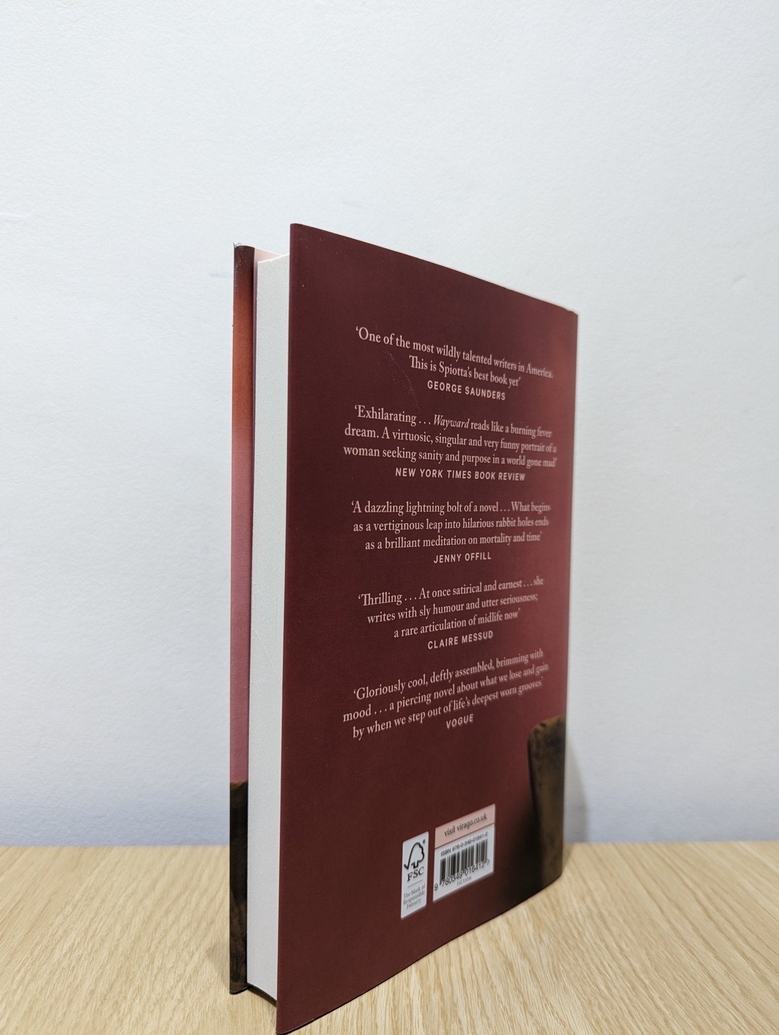 Wayward by Dana Spiotta (First Edition) - Fialta Books