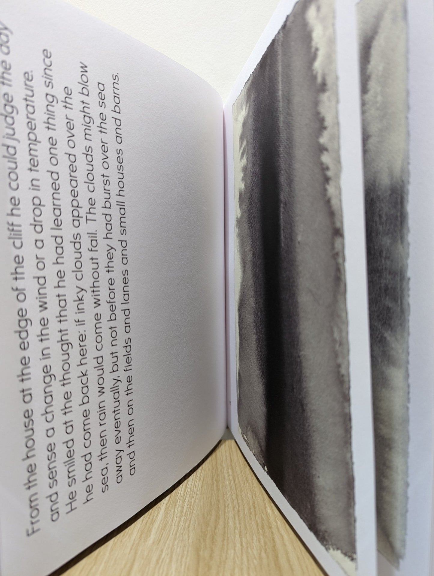 Weather by Colm Toibin Antony Gormley (Signed) - Fialta Books