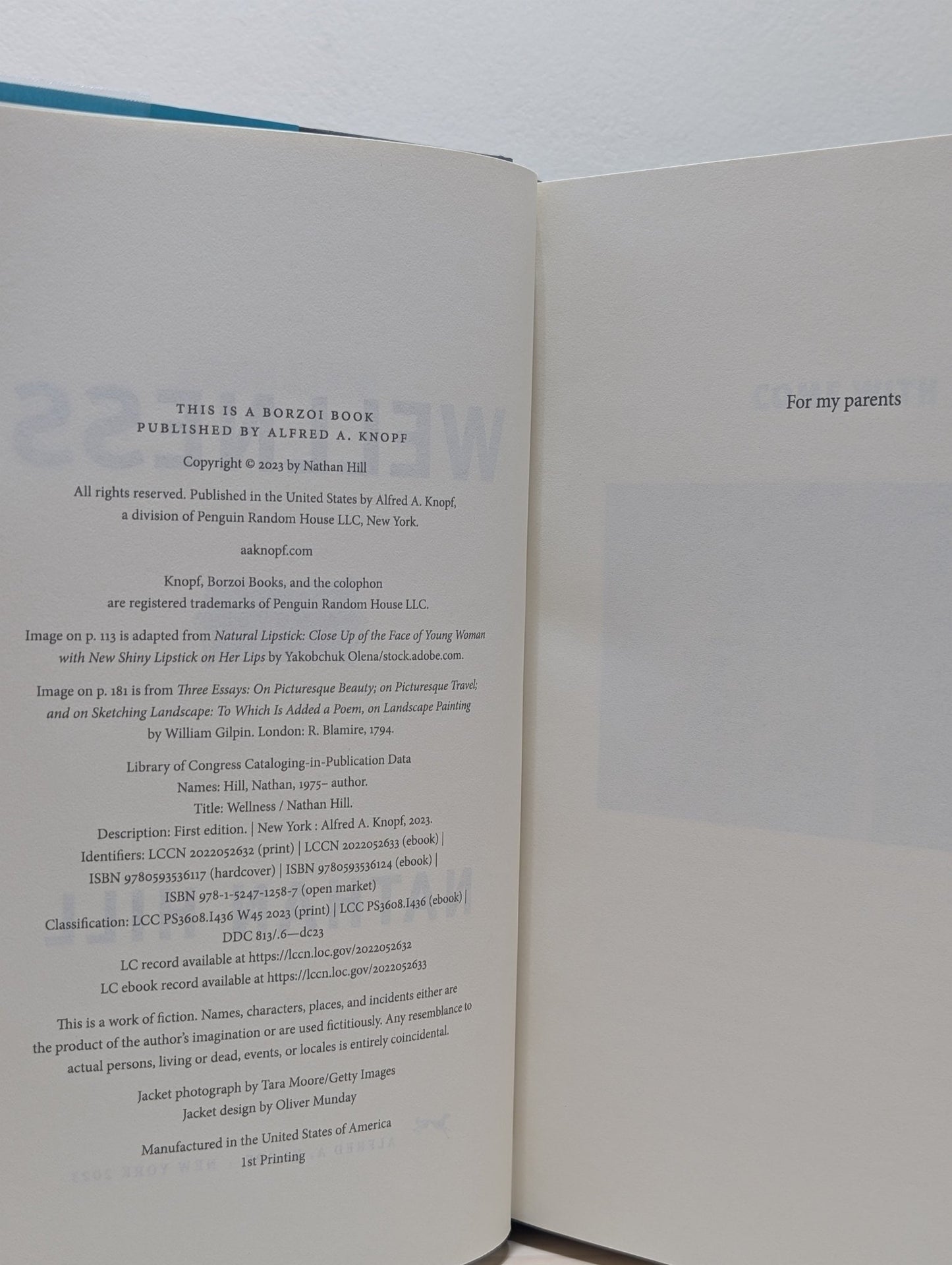 Wellness: A novel by Nathan Hill (Signed First Edition) - Fialta Books