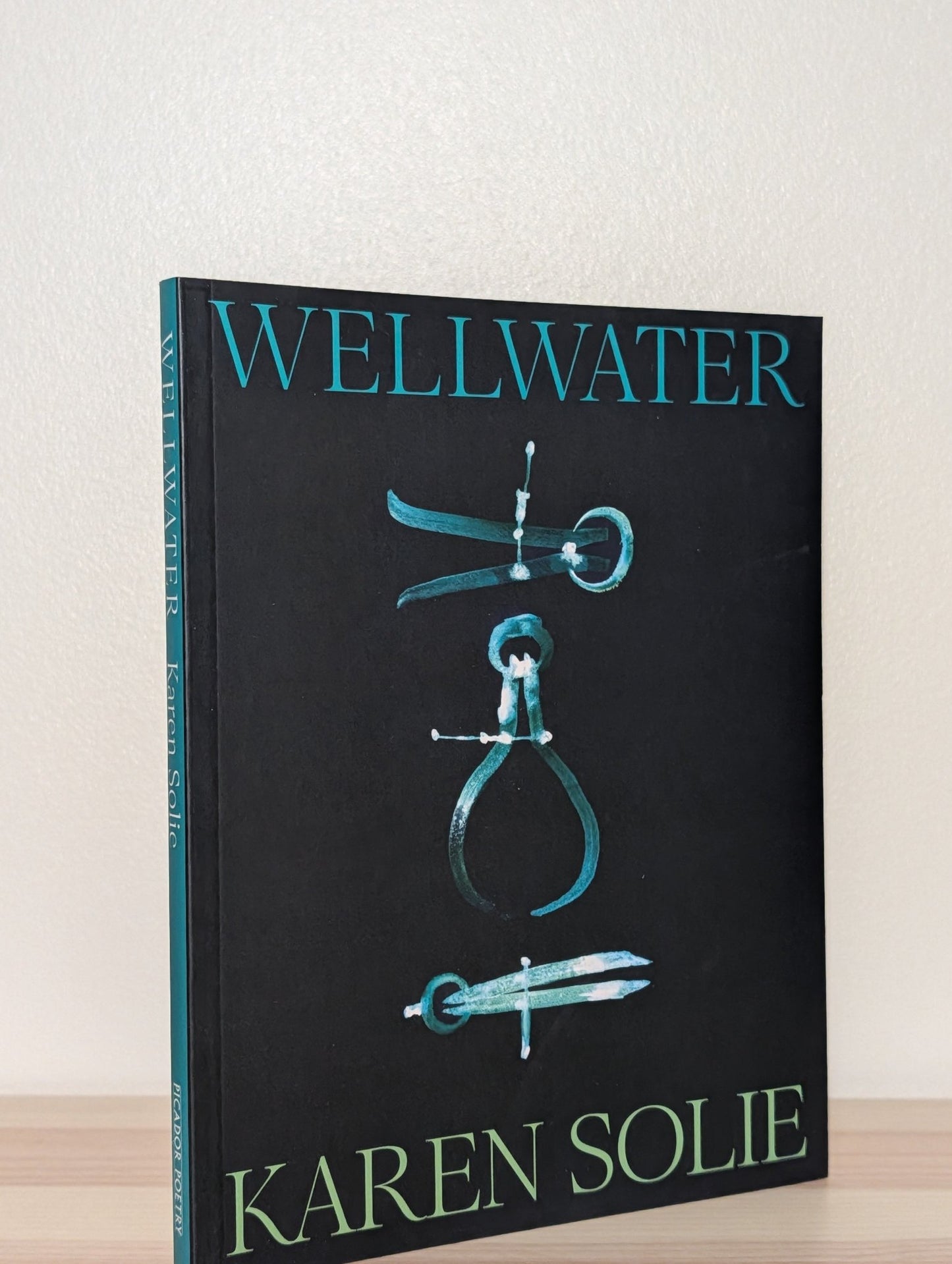 Wellwater by Karen Solie (First Edition) - Fialta Books