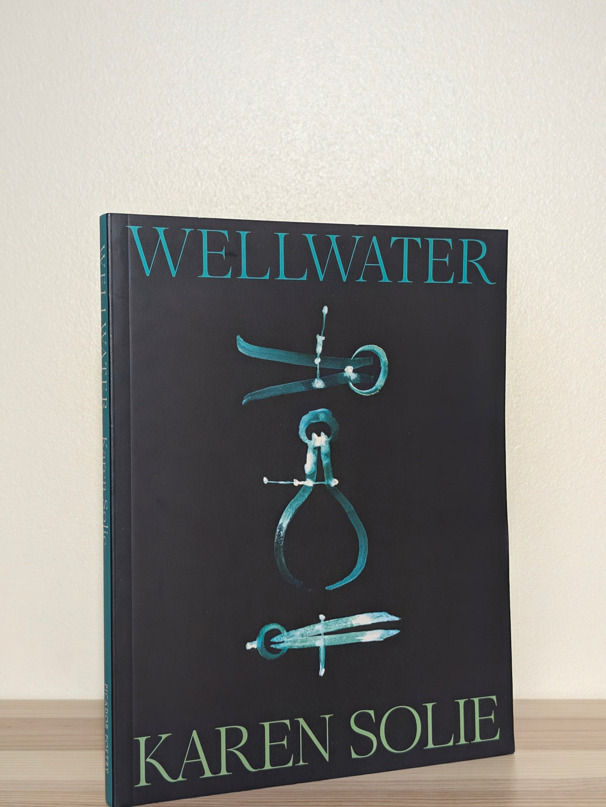 Wellwater by Karen Solie (Signed Dated First Edition) - Fialta Books