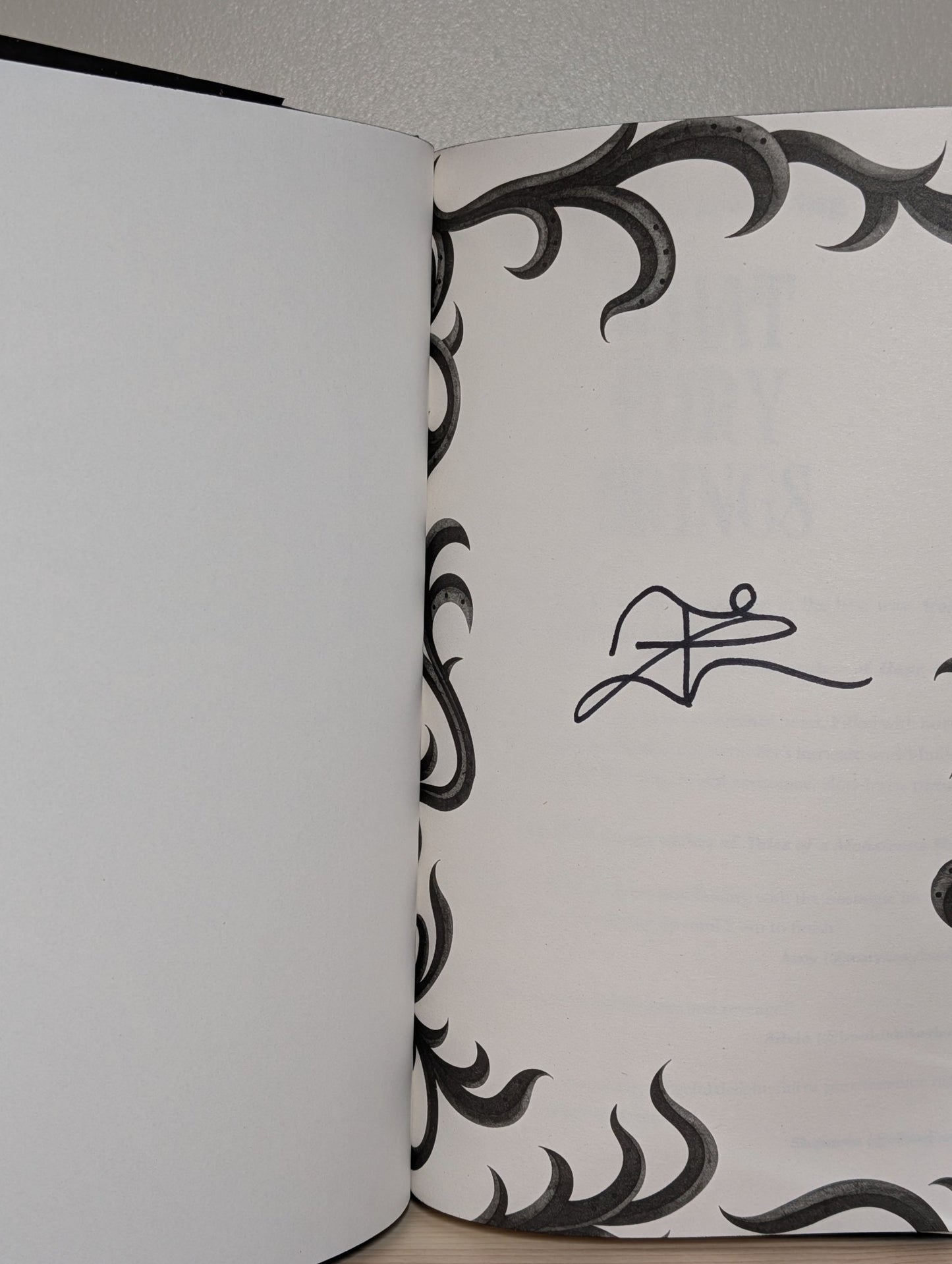 What Fury Brings by Tricia Levenseller (Signed First Edition with sprayed edges) - Fialta Books