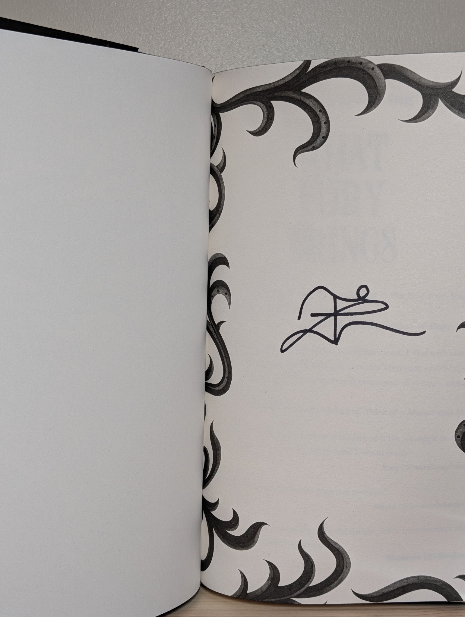 What Fury Brings by Tricia Levenseller (Signed First Edition with sprayed edges) - Fialta Books
