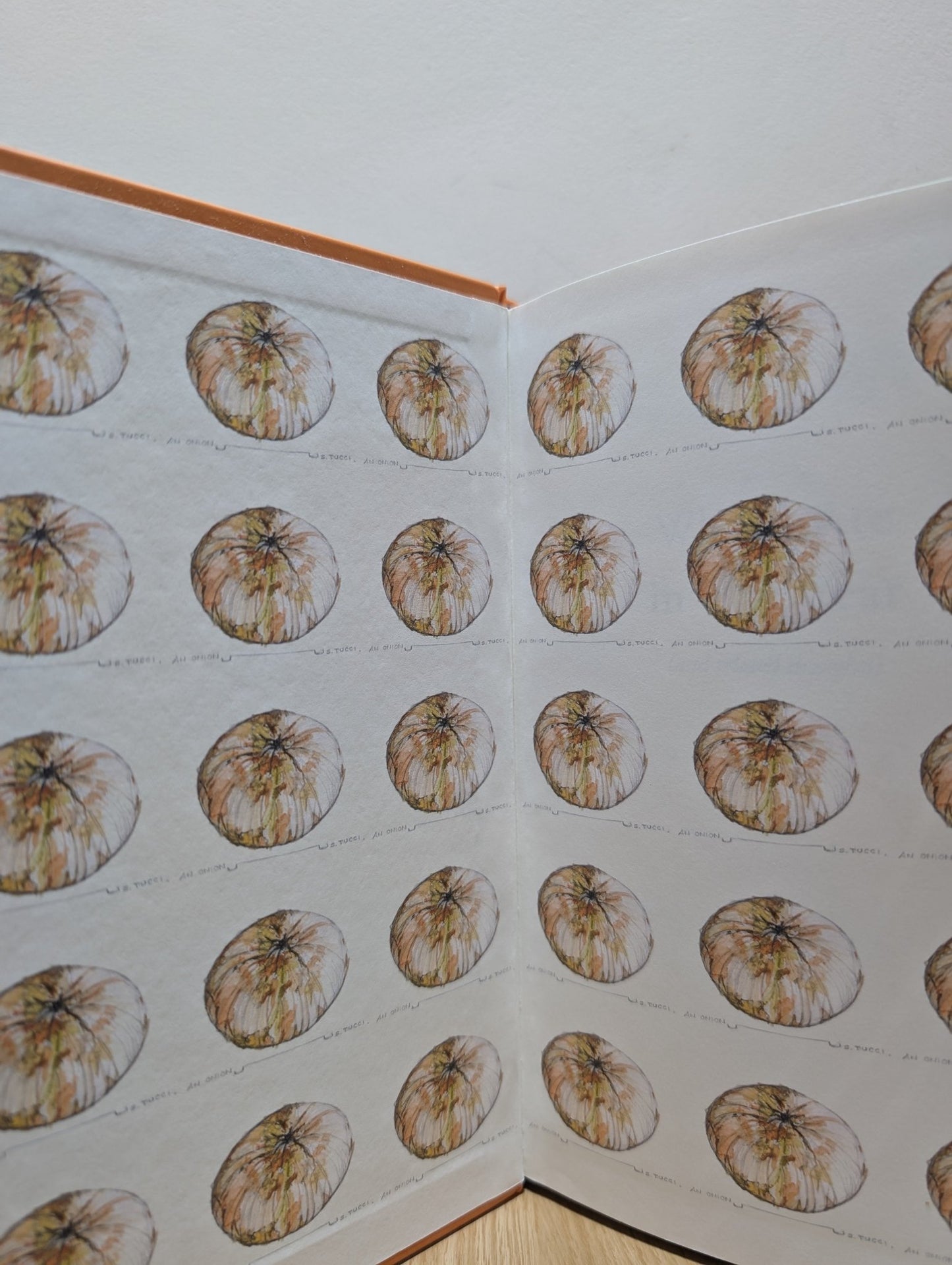 What I Ate in One Year by Stanley Tucci (Signed) - Fialta Books