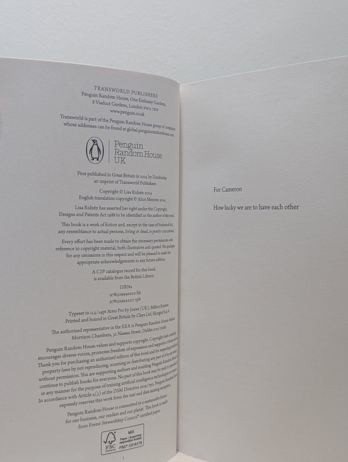 When the Cranes Fly South by Lisa Ridzen (Signed First Edition) - Fialta Books