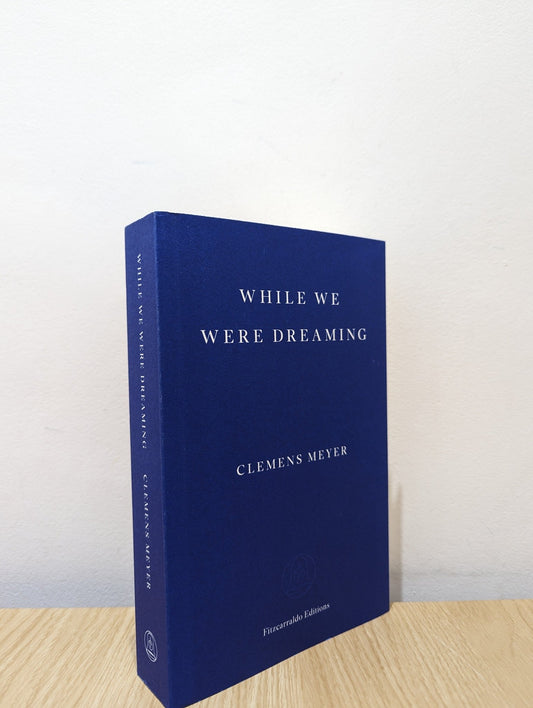 While We Were Dreaming by Clemens Meyer (First Edition) - Fialta Books
