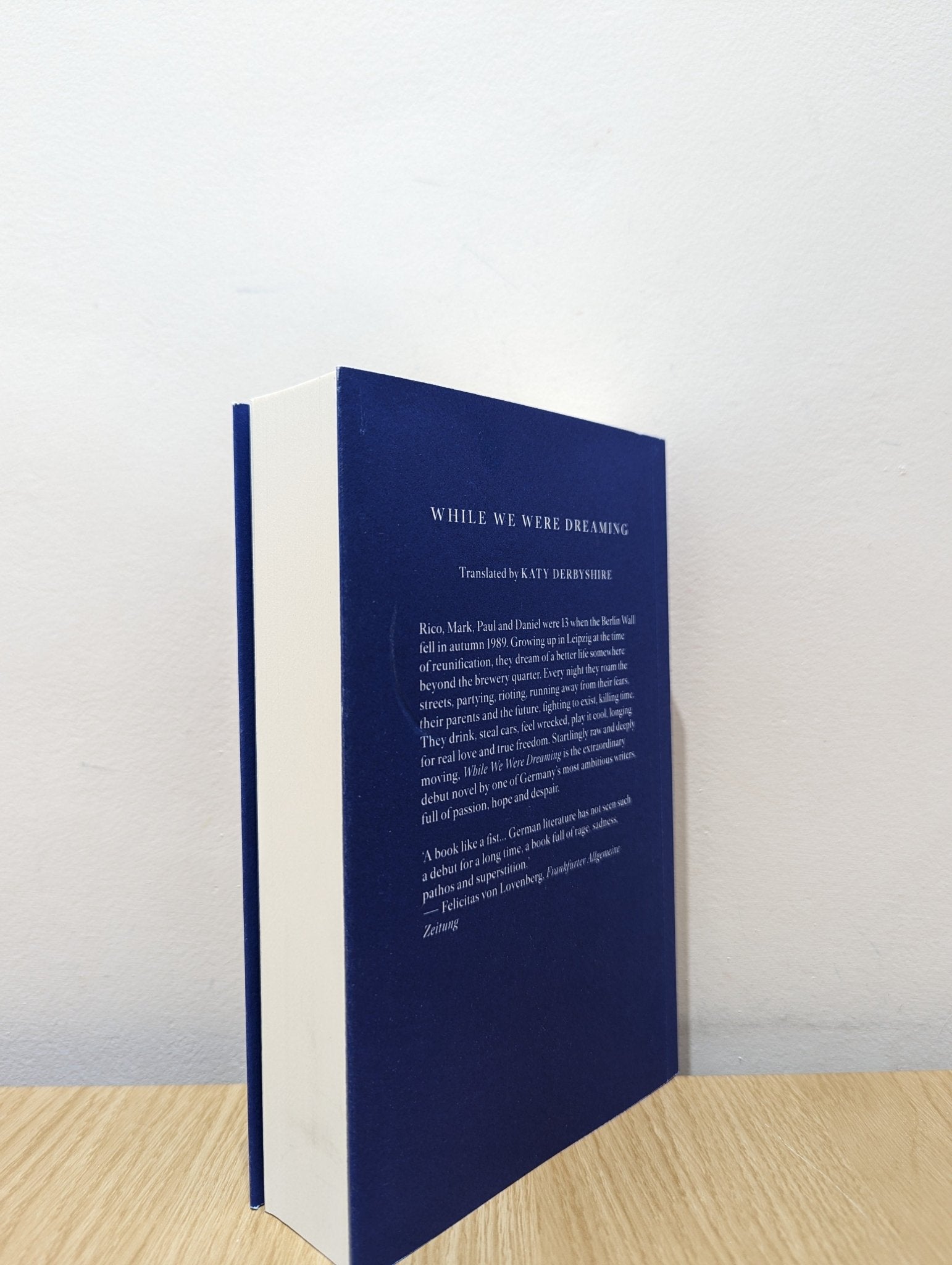 While We Were Dreaming by Clemens Meyer (First Edition) - Fialta Books