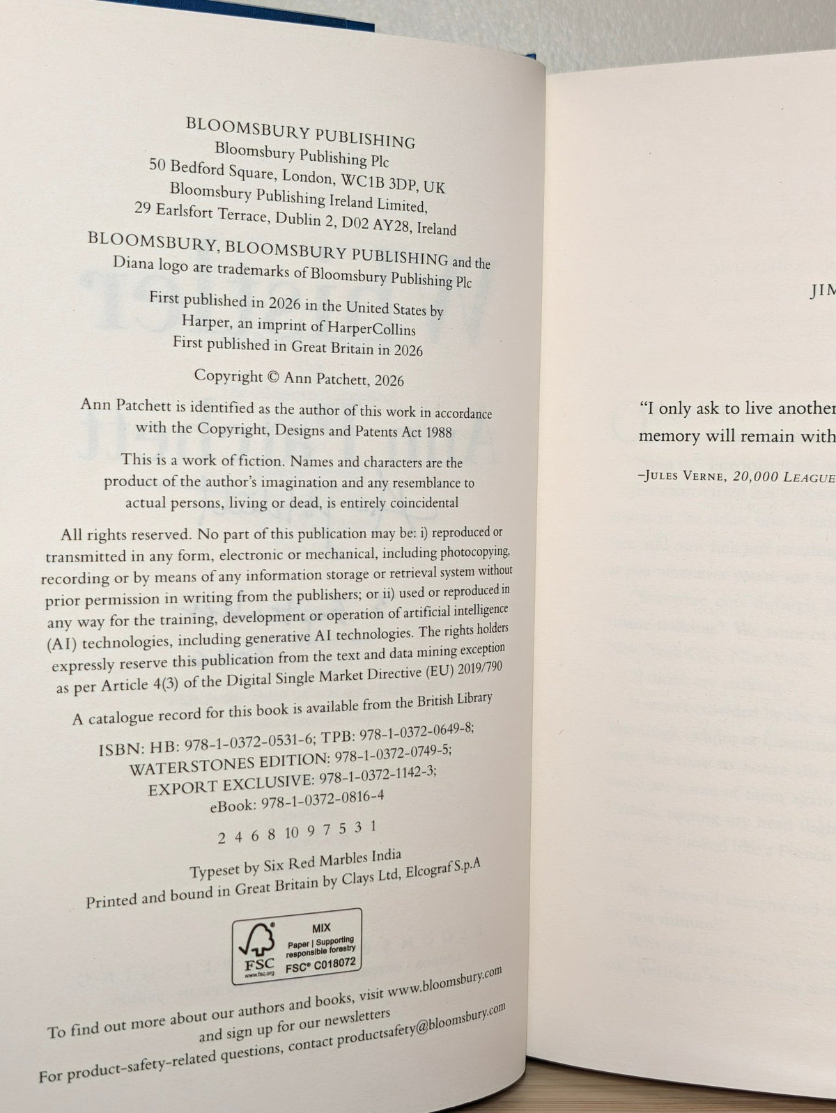 Whistler by Ann Patchett (Signed Dated First Edition) - Fialta Books